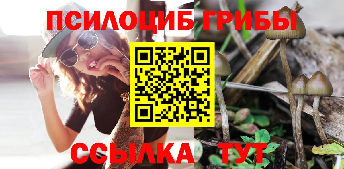 Галлюциногенные грибы Cubensis Дедовск
